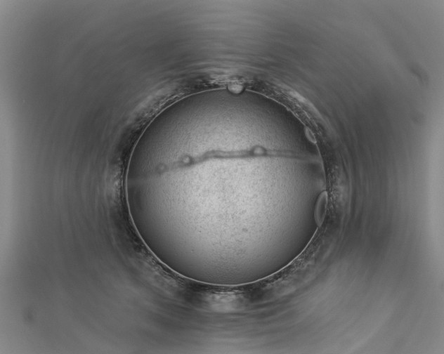 X0000113000513200909031256