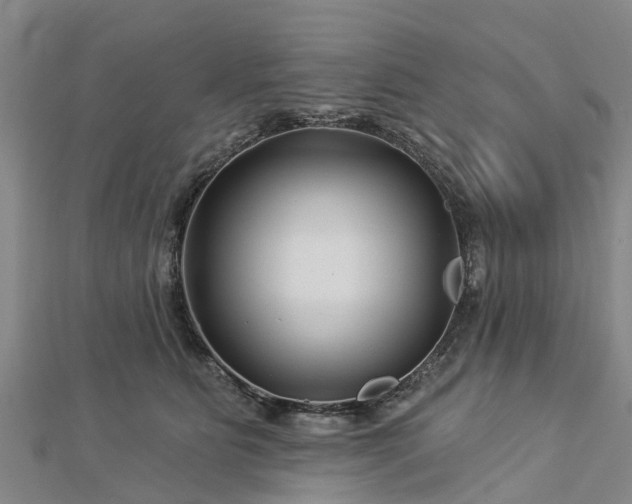 X0000113000515200909031256