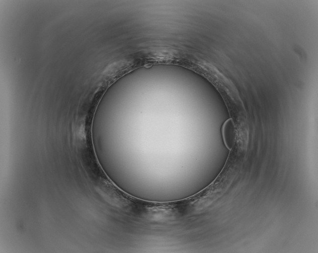 X0000113000516200909031256