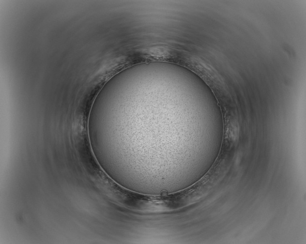 X0000113000518200909031256