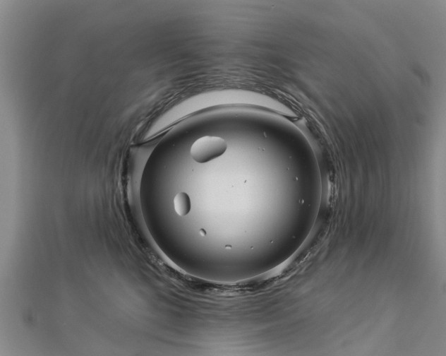 X0000113000520200909031256