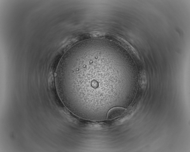 X0000113000523200909031256