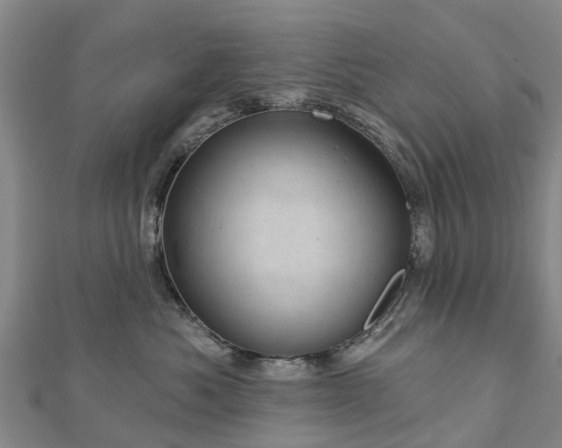 X0000113000525200909031256