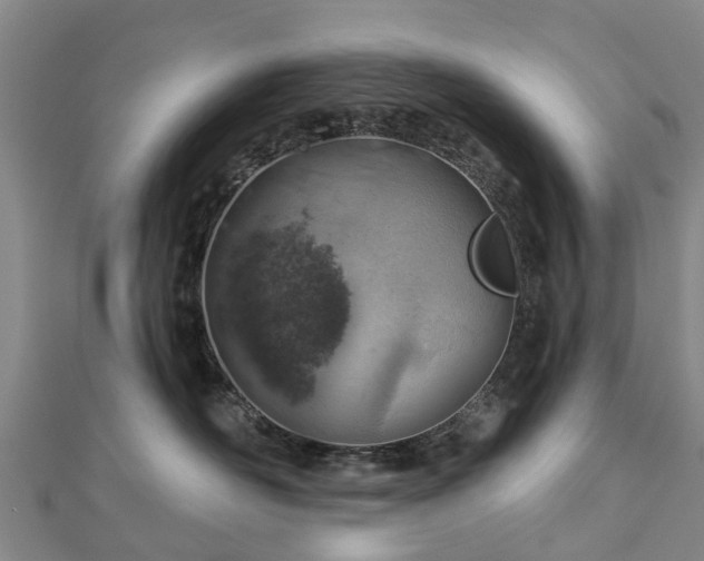 X0000113000526200909031256