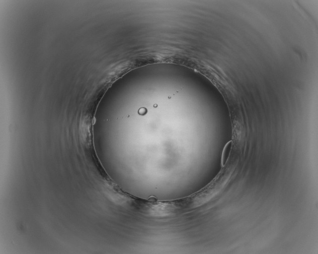 X0000113000527200909031256