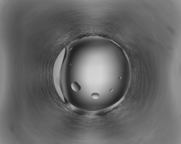 X0000113000528200909031256