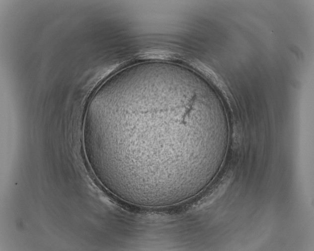 X0000113000529200909031255