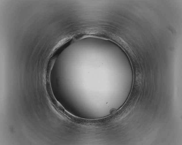 X0000113000530200909031255