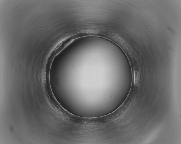 X0000113000531200909031255