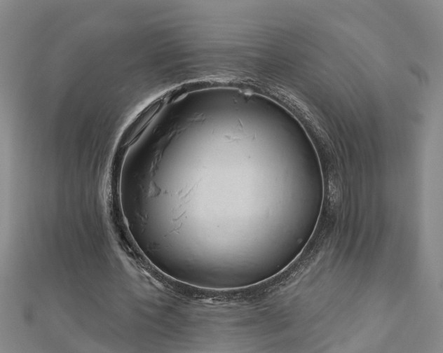 X0000113000532200909031255