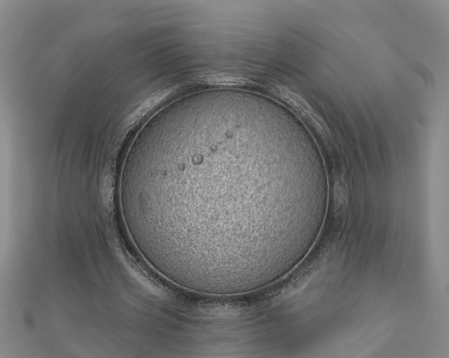 X0000113000533200909031255