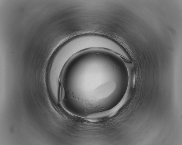 X0000113000534200909031255