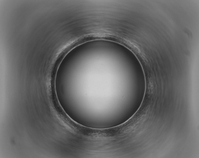 X0000113000535200909031255