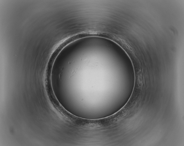 X0000113000536200909031255