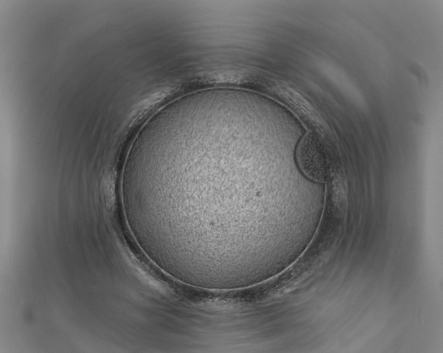 X0000113000537200909031255