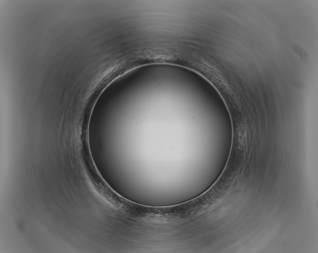 X0000113000538200909031255