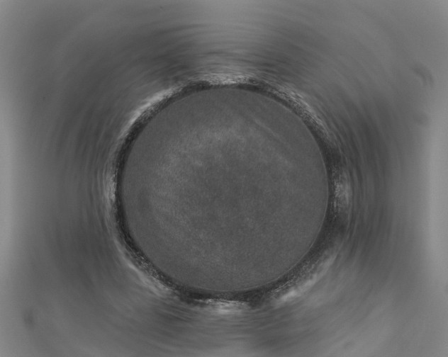 X0000113000539200909031255