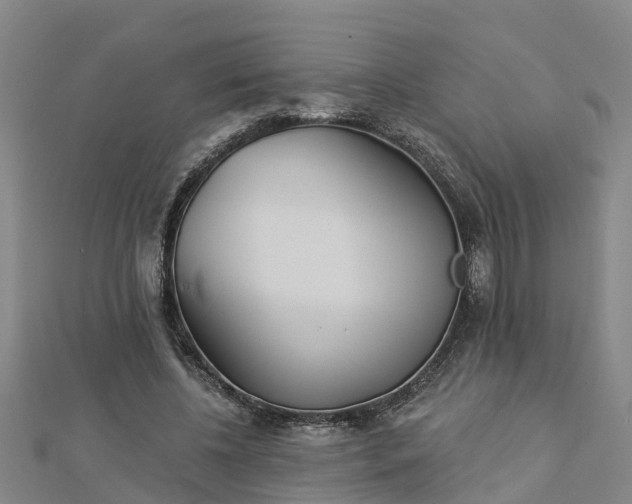 X0000113000540200909031255