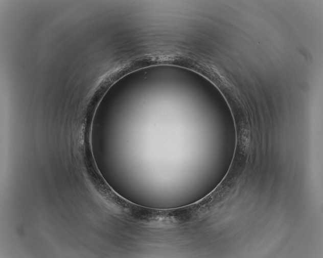 X0000113000543200909031255