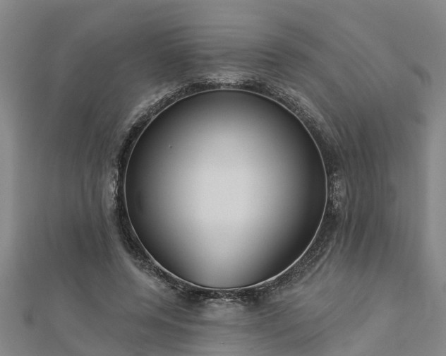 X0000113000544200909031255