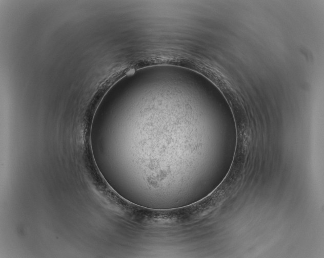 X0000113000546200909031255