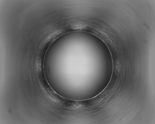 X0000113000547200909031255