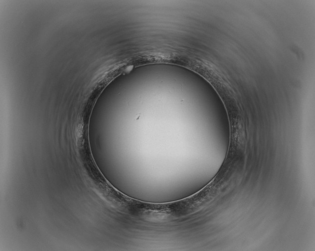 X0000113000548200909031255