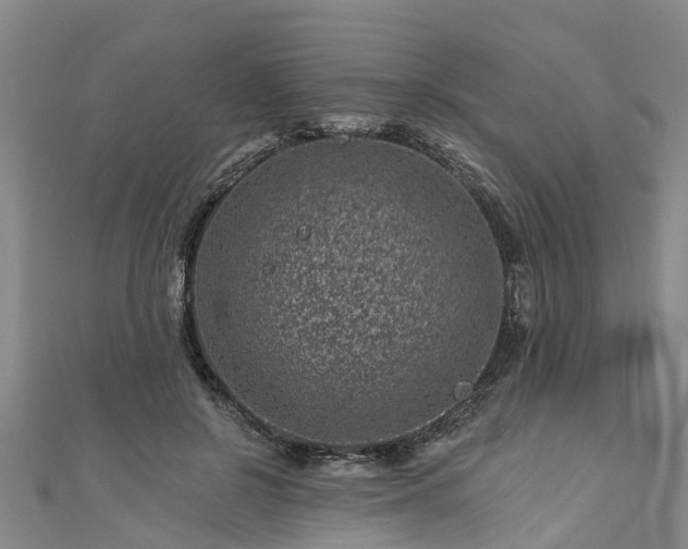 X0000113000550200909031255