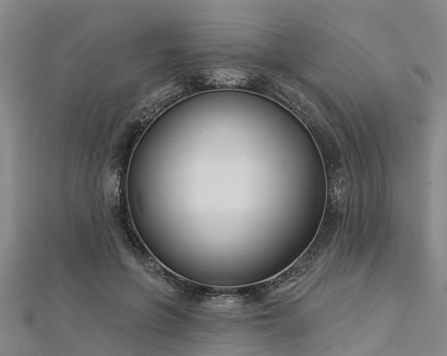 X0000113000551200909031255