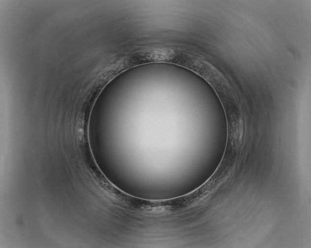 X0000113000553200909031255