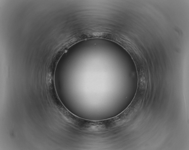 X0000113000555200909031255