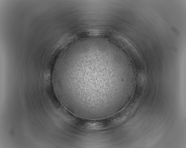 X0000113000557200909031255