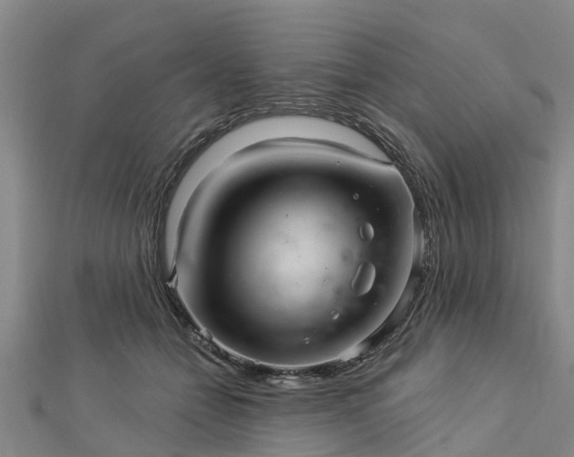 X0000113000558200909031255