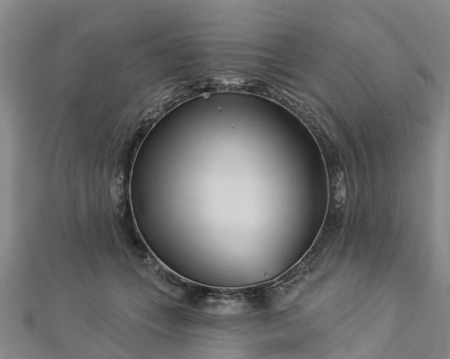 X0000113000559200909031255