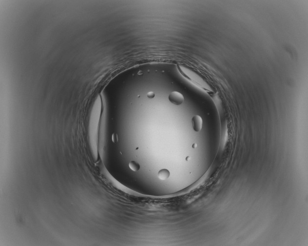 X0000113000560200909031255