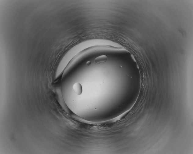 X0000113000562200909031255