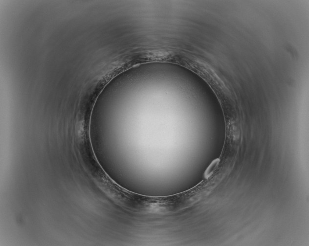 X0000113000564200909031255