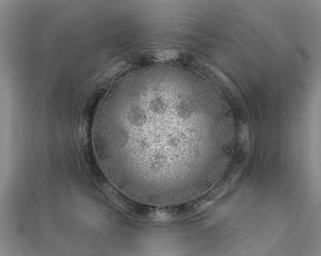 X0000113000565200909031255