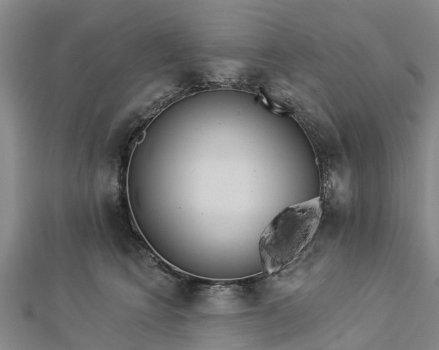 X0000113000566200909031255