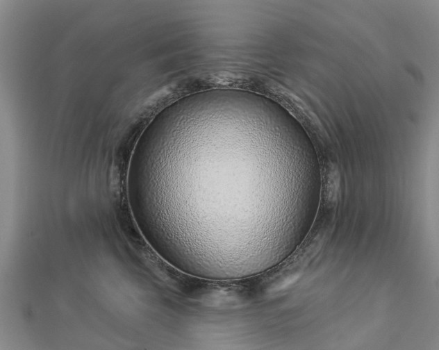 X0000113000569200909031255