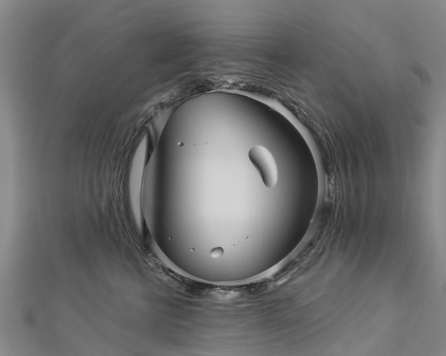 X0000113000570200909031255