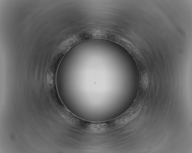 X0000113000571200909031255