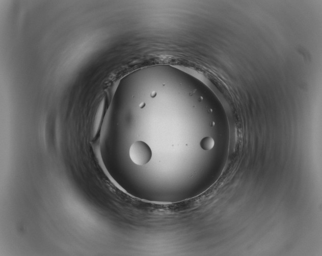 X0000113000572200909031255