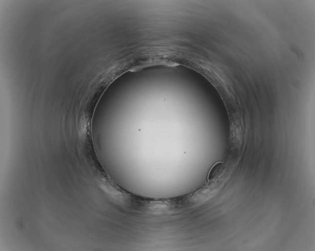 X0000113000574200909031255