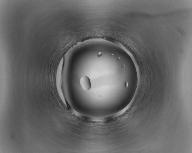 X0000113000576200909031256