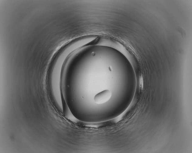 X0000113000579200909031255