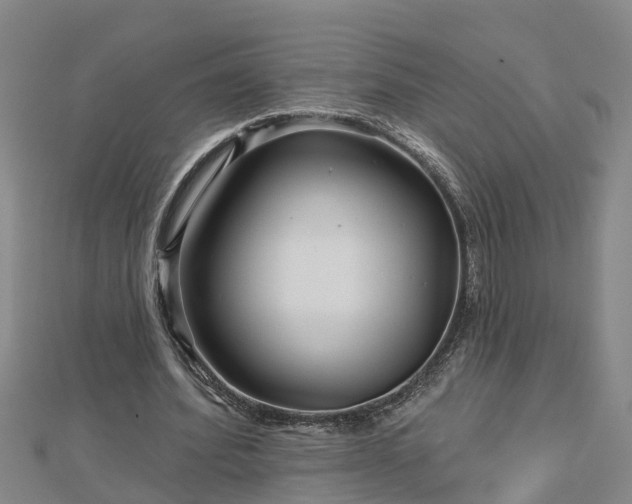 X0000113000580200909031255