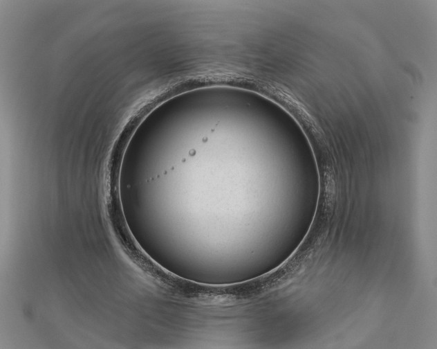 X0000113000582200909031255