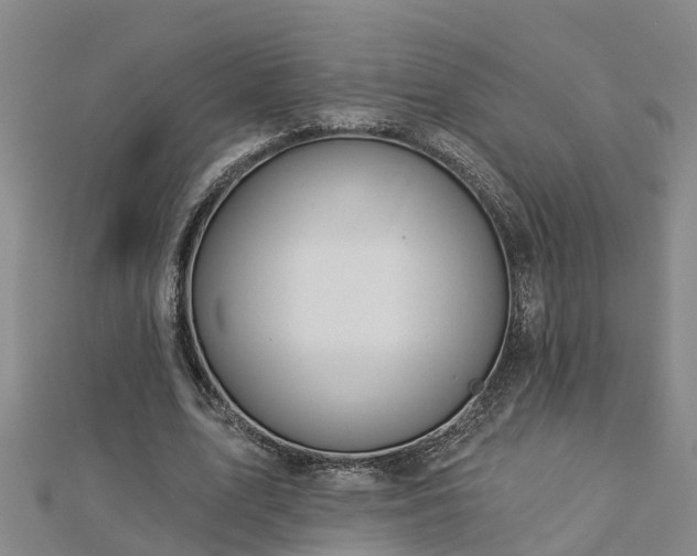 X0000113000583200909031255