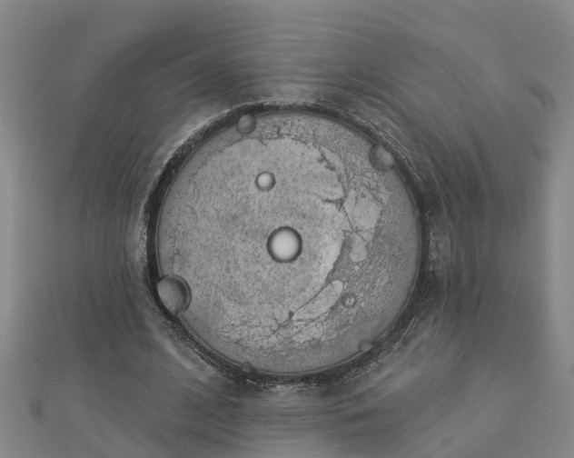 X0000113000584200909031255